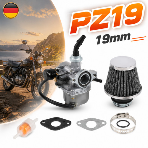 Filtro aria carburatore pz19 - aria,