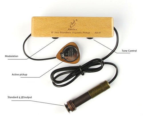 Chitarra elettrica acustica
