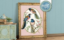 Archivio Vintage Trogon Bird