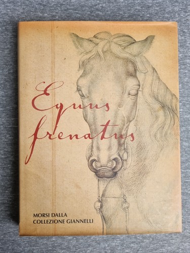 Equus frenatus morsi dalla - equus,