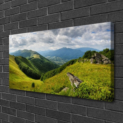 Stampa tela canvas 100x50 - stampa, su