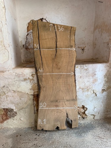 Legno wood ulivo olivo - ulivo/olivo,, x