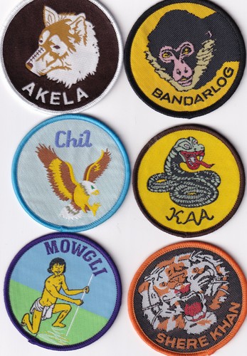Boy scout cub - cub, leader