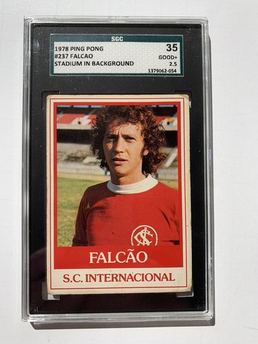 Ping pong falcao hof - pong,