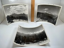 Auto d'epoca alberi di