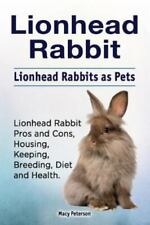 Lionhead Rabbit. Lionhead