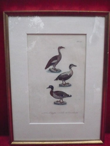 Bellissimo vecchio quadro di - bellissimo,,