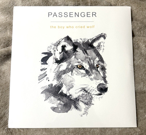 Passenger the boy who - passenger,