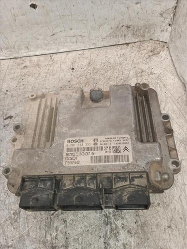 0281013333 centralina motore
