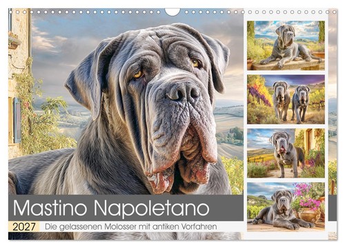 Mastino napoletano die - mastino, napoletano.