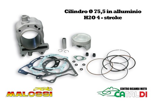 Gruppo termico malossi - termico,