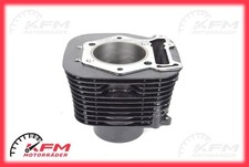 Suzuki Savage LS 650 cilindro