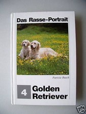Golden retriever 1990 - golden,