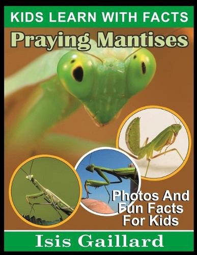 Praying mantises photos and - praying, mantises: