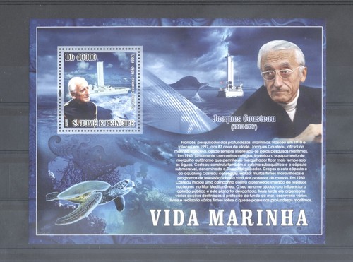 Cousteau tartaruga - (706669),