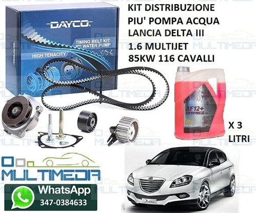 Kit distribuzione pompa - kit, e