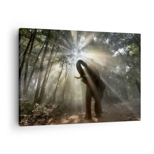 Quadro tela 70x50cm - quadro,