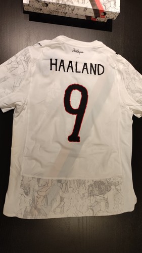 Haaland manchester city 2025 - haaland,