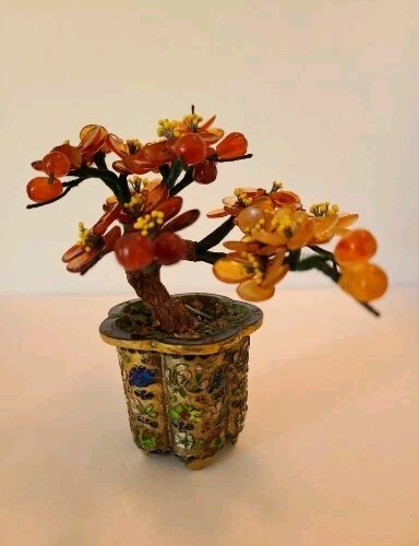 Prunus albero prugna - di, forma