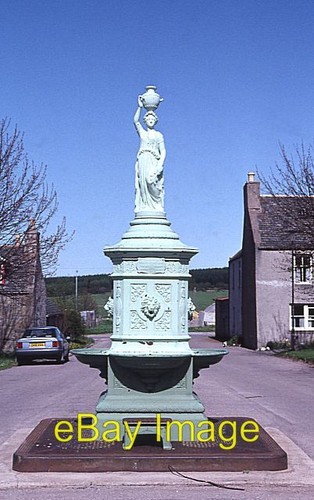 Photo 6x4 ornamental drinking - 6x4,