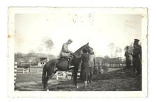 IPPICA HORSES MILITARY PHOTO