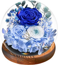 Rosa stabilizzata vera - rosa, regalo