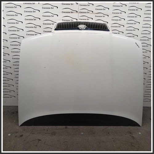 Cofano motore anteriore skoda - motore,