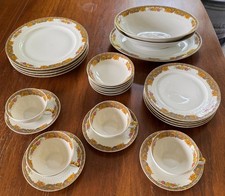 Haviland Limoges Mount Vernon