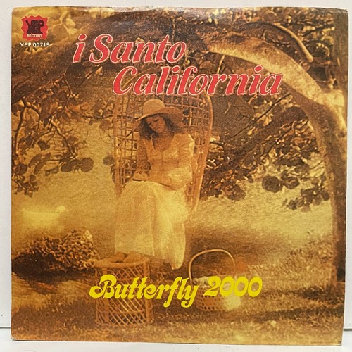 Santo california butterfly - santo,