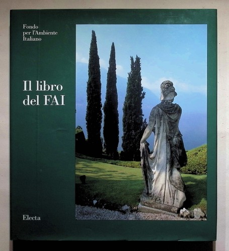 Libro del fai renato - il,