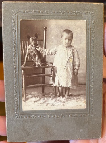 Piccolo armadio foto - , miniatura