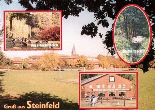 Steinfeld oldenburg - oldenburg, am