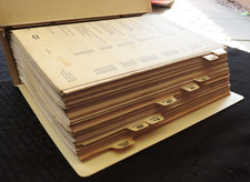 Originale Case 1845B Minipala