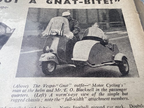 Vespa douglas blacknell gnat - douglas,