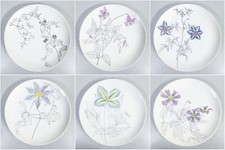 ⚜️ SET 6 PIATTI DESIGN