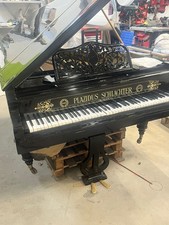 Pianoforte coda plazidus - pianoforte,