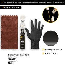 Vernice di ritocco per Ligier