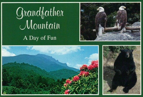 Grandfather mountain north - grandfather, mountain,