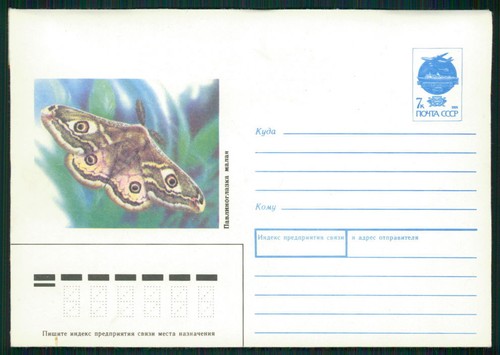 Russia fauna farfalle - farfalle,