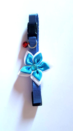 Collarino blu nylon per - , in