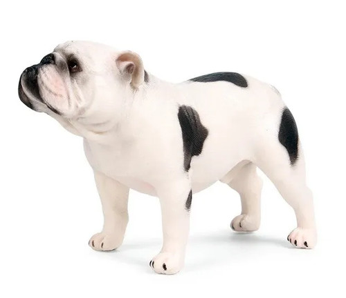 Bulldog cane animale