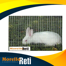 RETE ZINCATA PER GABBIE E VOLIERE  MAGLIA 12X12 FILO 0.80 MT 25 ALTEZZA100CM