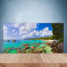 100x50 Paraschizzi in Vetro