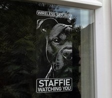 Boxer Cane Sicurezza Wireless