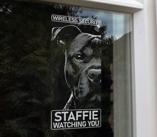 Adesivo staffie dog - staffie, sicurezza