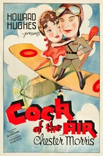 POSTER FILM GALLO DELL'ARIA
