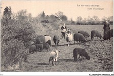 EMI-AAAP2-0160-44 - NANTES - La Vita In Campagna - Nella Campagna