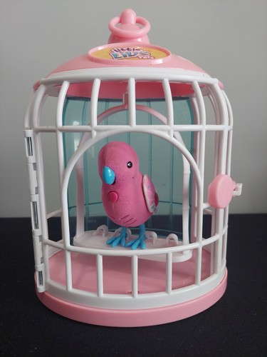 Pappagallo little live pets - little,