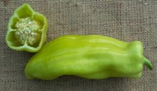 PEPERONE GOCCE DORATE, 25 semi + OMAGGIO