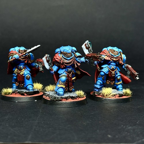 Victrix honor guard - guard, dipinto